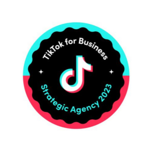 TikTok for business